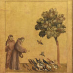 St. Francis preaching to the birds. Giotto. Originally Pisa, now Louvre. Source: Wikipedia