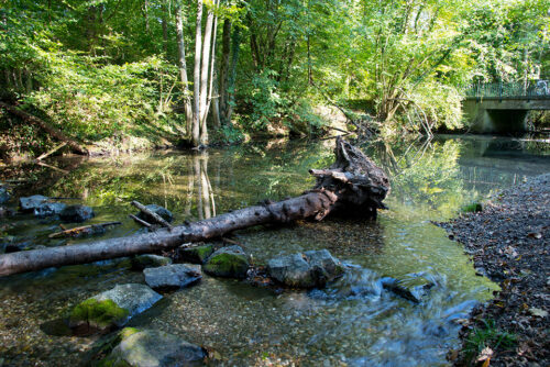 The rieds in Vosges. © Tanja Voigt/Dreamstime D 127772107