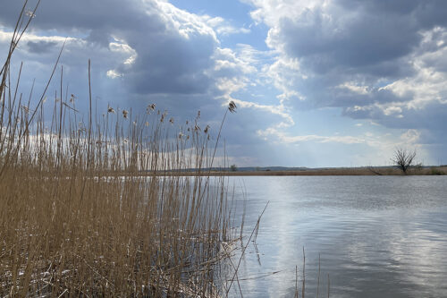 The Oder Delta © Schousboe 2022