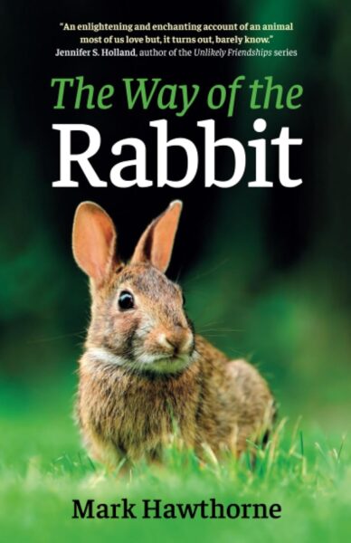 Cover the way of the rabbit
