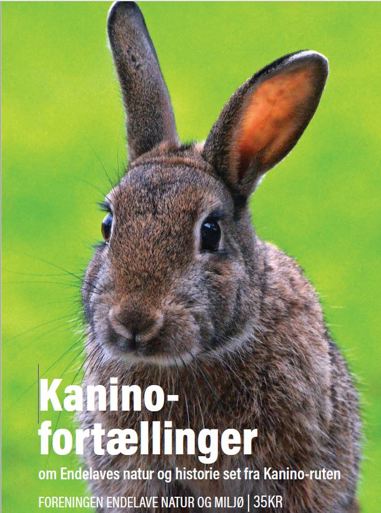 Cover kanini hæfte