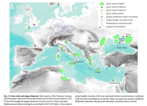 Grain Trrade and Plague Dispersal. Map from: Black Death to medieval Europe (OA)'By Martin Bauch & Ulf Büntgen NATURE: Communications Earth & Environment volume 6, Article number: 986 (2025) https://www.nature.com/articles/s43247-025-02964-0. OA/CCL