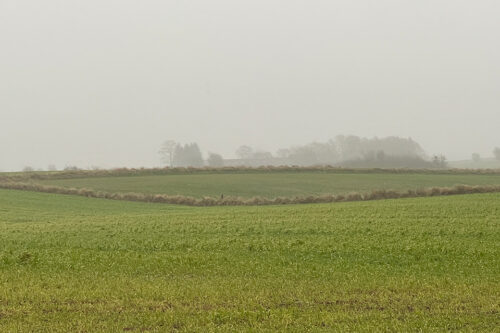 Vindelev. View over spot where thin treasure was discovered. As seen from the road beneath the church. November 2025. © Schousboe CCBYSA