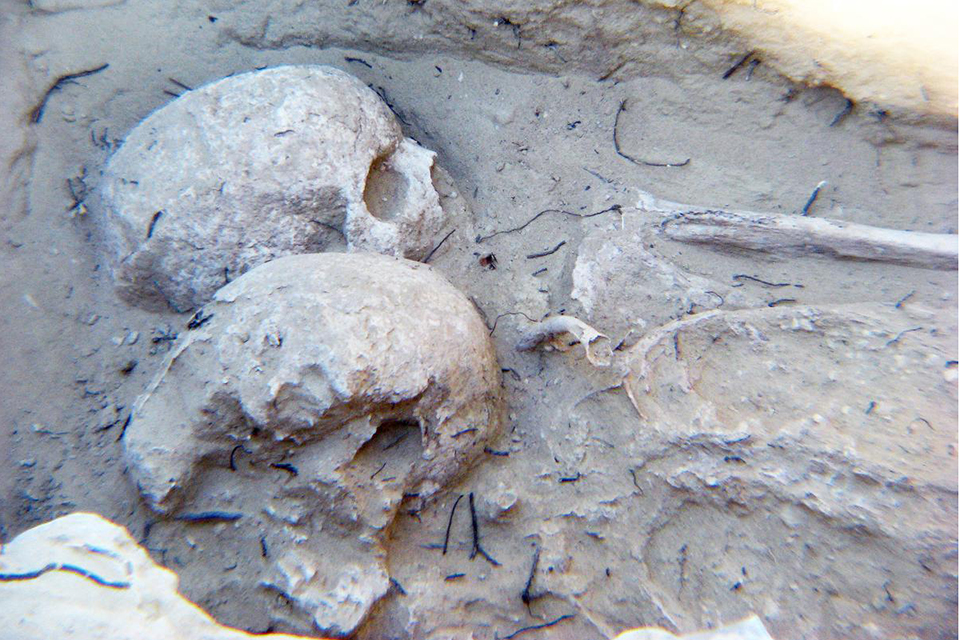 Cabezo del Molino. Plague Victims © MARQ/ Alicante (PRESS)