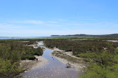 The natural reserve - near Lège and d'Ares.