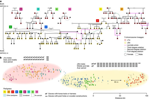 Gnecchi-Ruscone, G.A., Rácz, Z., Samu, L. et al. Network of large pedigrees reveals social practices of Avar communities. Nature 629, 376–383 (2024). https://doi.org/10.1038/s41586-024-07312-4