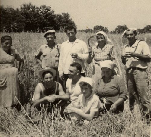 Harvesting wheat in Clabria Source: Wikipedia