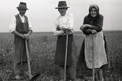 Atany . Photo from the collections in the Museum of Ethnography