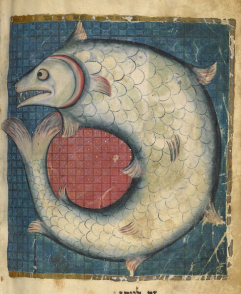 Leviathan from "The Northern French Miscellany" ca. 1300. ADD MS 11639, fol 518 v. British Library. Source: Wikipedia