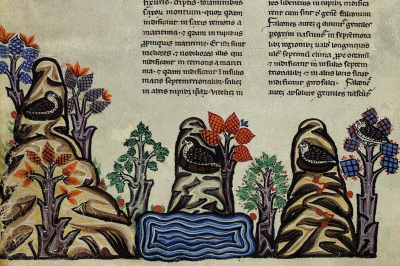 De Arte Venandi cum Avibus © Biblioteca Apostolica Vaticana