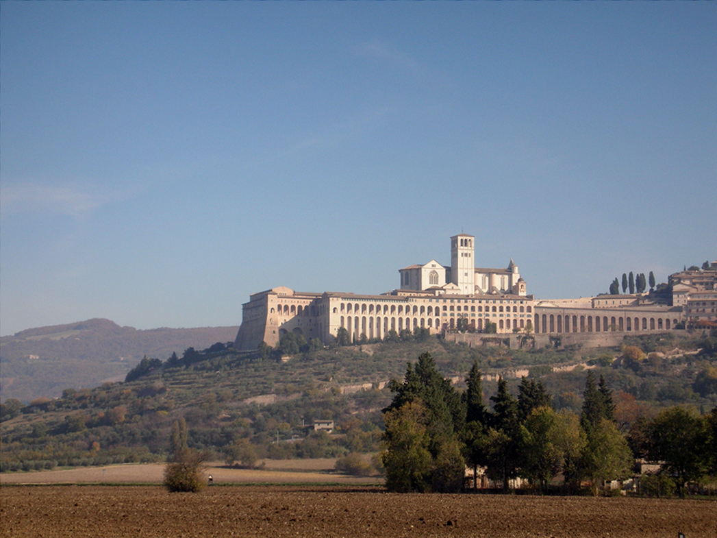 The cathedral of Assisi 2011 © Medieval Histories