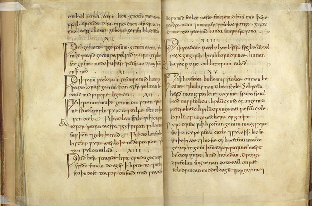 Bald leechbook - © Trustees of the British Library