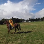 Battle at Hastings reenactment 2012