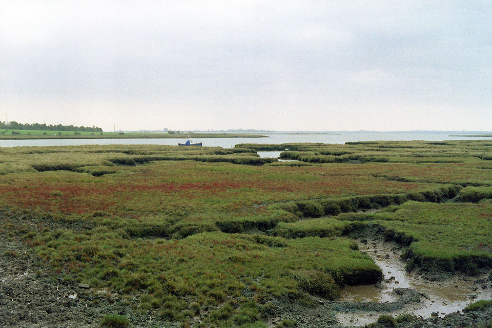 The Battle of Maldon Plains Wikipedia