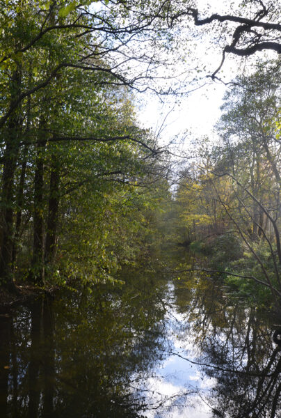 Cistercian channel at Esrum c 1200 © schousboe