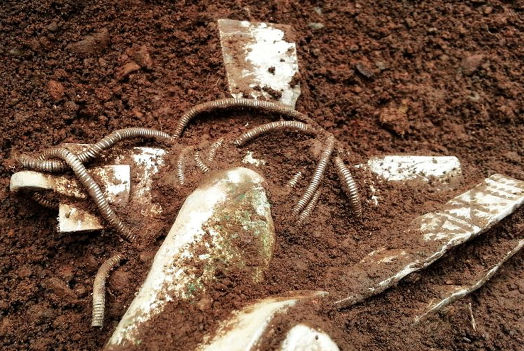 dumfries Viking Hoard 2014