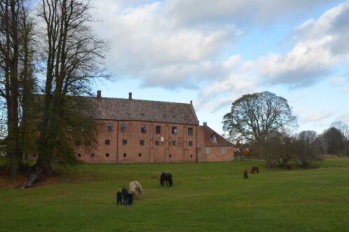Esrum Abbey © Schousboe