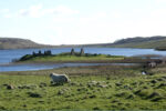 Finlaggan and Eilean Mór from the North. Source: Wikipedia/Ottar