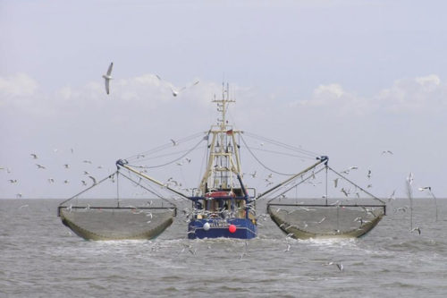 A trawler fishing in the North Sea. Source: Jom/Wikimedia