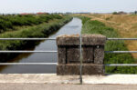 Landscape in the Po Valley © Fotografia di Andrea Samaritani