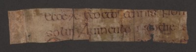 Fragment from Book of Kells . Courtesy of Aberdeen University