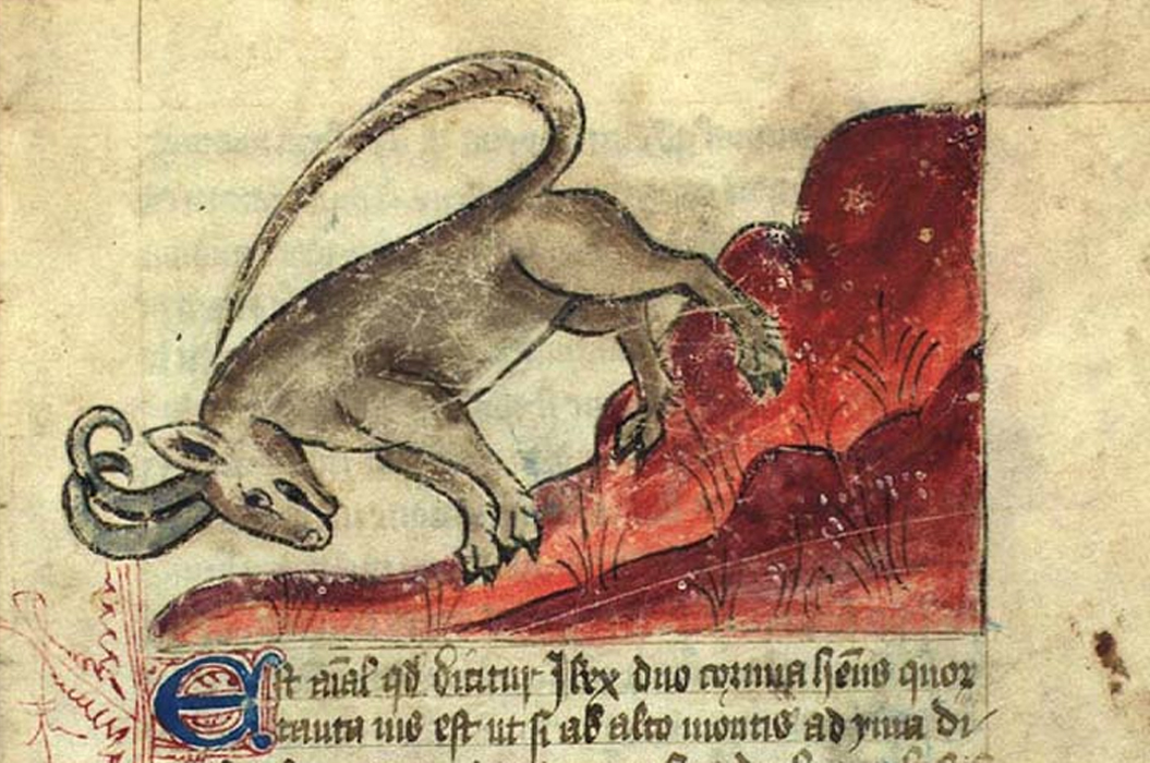 GKS 1633 4º- Bestiarius- 9 recto © Royal Library Copenhagen