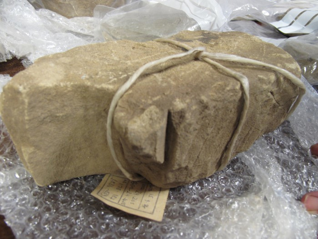 Hirsel Church - excavated moulded fragment