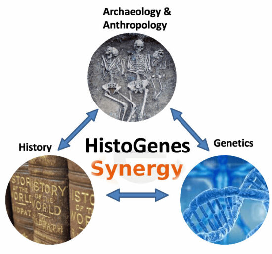 histogenes diagram