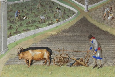 Les Tres Richees Heures du duc du Berry . March with a heavy plough