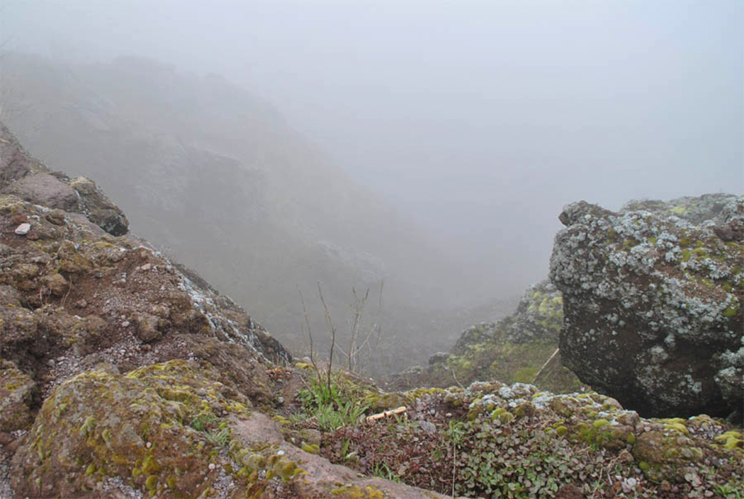 Looking down into the Crater of Vesuvius. Source: www.euro-t-guide.com