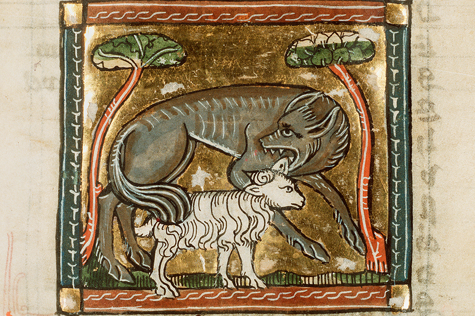 Wolf devouring a lamb from: Der Naturen Bloeme by Jacob van Maerlant. Manuscript from Royal Library in Holland. KB KA 16 062 r. Source: Wikipedia