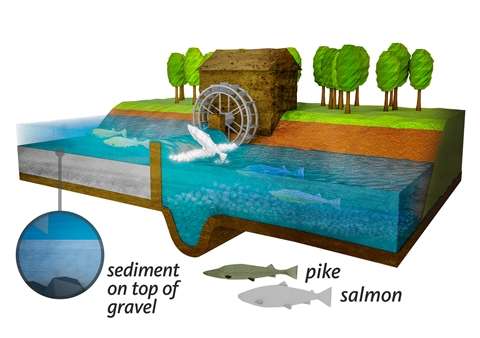 Medieval Waters Water mill. Radboud University