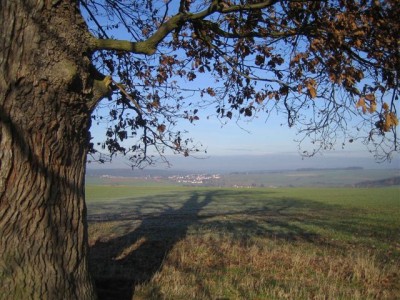 Odenwald-michelstadt