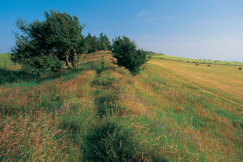Offa's Dyke © Best of Wales