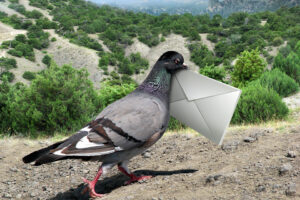 Pigeon with a letter. © Dreamstime 24979386/ A2Adriano.