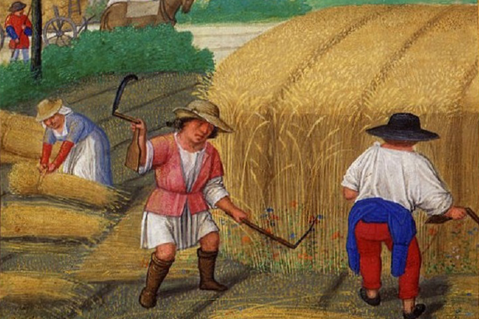 The Economics Of The Black Death Medieval Histories the-economics-of-the-black-death-medieval-histories
