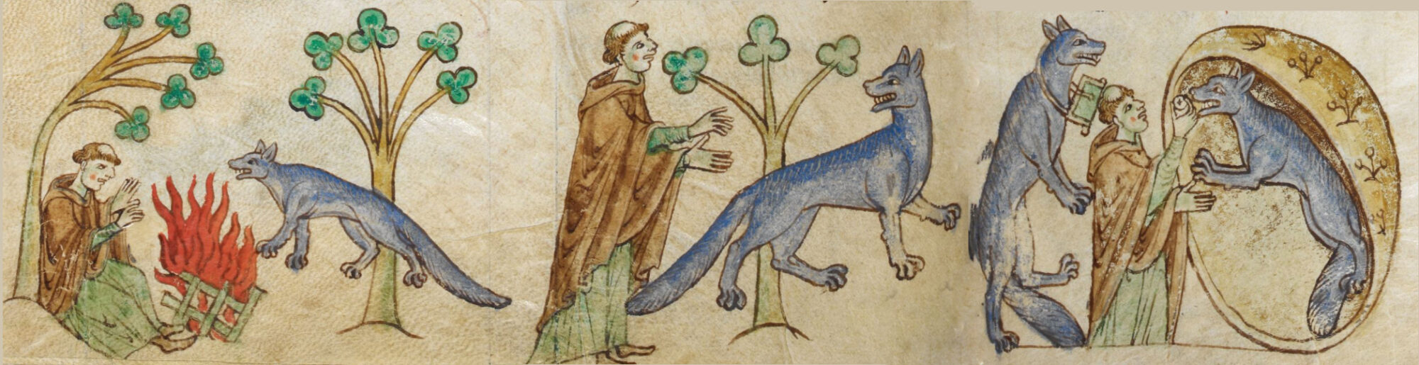A fable was told about a man, who had been condemned to live seven years as a wolf. At some point, the werewulf sought out a priest travelling through the wilderness to ask him to hel his mate, a shewolf with the viaticum. Royal MS 13 B VIII, c 1196-1223, The manuscript includes an anthology of texts on topography, history and marvels of the world, relating to Ireland and Wales.Contents:1. Gerald of Wales, Topographia Hiberniae (Topographia Hibernica) (ff. 1r-34v) 17c-18r