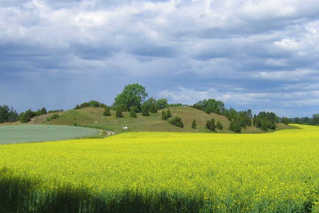 Vallsgärde. Source -Wikipedia