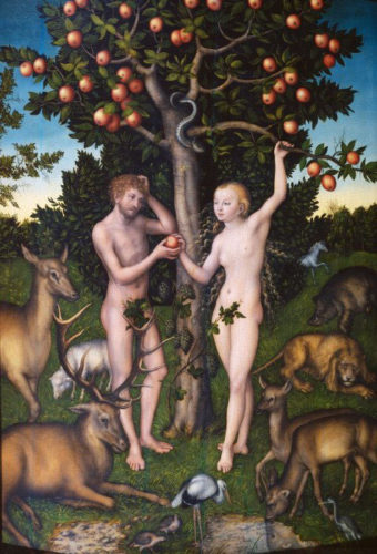 Adam and Eve and the first Christmas Tree. Cranch the Elder 1526. Source: Wikipediaing people for erecting Christmas trees in their homes and hang them with figures and sugar. At this point, the Christmas tree seemed to have moved into the heart of the German bourgeois home.