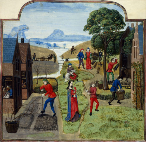 Tending to the garden. From: Livre des profits ruraux-c-1490