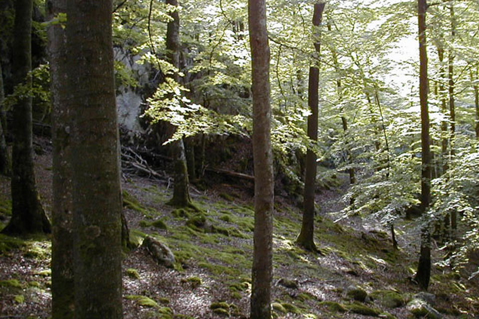 Almeberget © Länsstyrelsen Halland