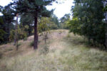 Beorn Ironsides Barrow. Near Mälaren. Source: Wikipedia