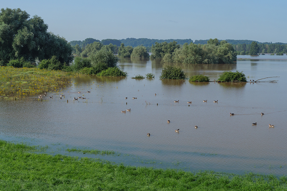 Bieslicher Insel. © Dreamstime/Waeske 224837458