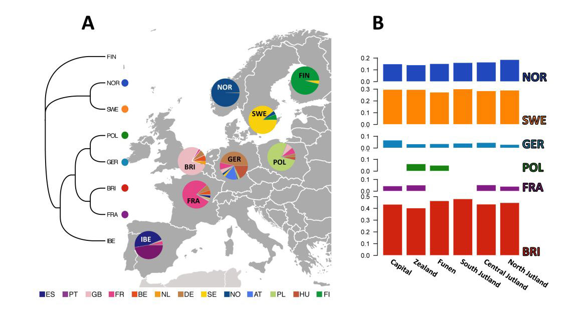 Danes and their admix of genetic clusters Source: Athanasiadis et al., Nationwide Genomic Study in Denmark Reveals Remarkable Population Homogeneity, Genetics Early online August 17, 2016; DOI: 10.1534/genetics.116.189241