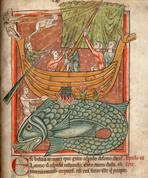 Cooking on top of Kraken ca. 1215. From: Harley MS 4751, Fol 69r. Soruce: British Library