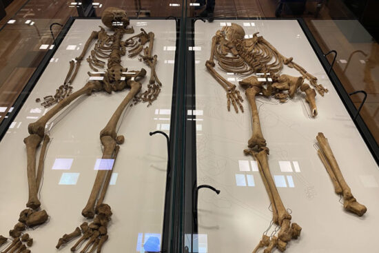 Reunited in death. two half brothers from Oxford † ca 1002 and † 1050