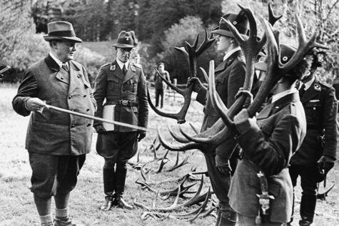 Hermann Göhring inspecting the trophies from a hunt in 1936.