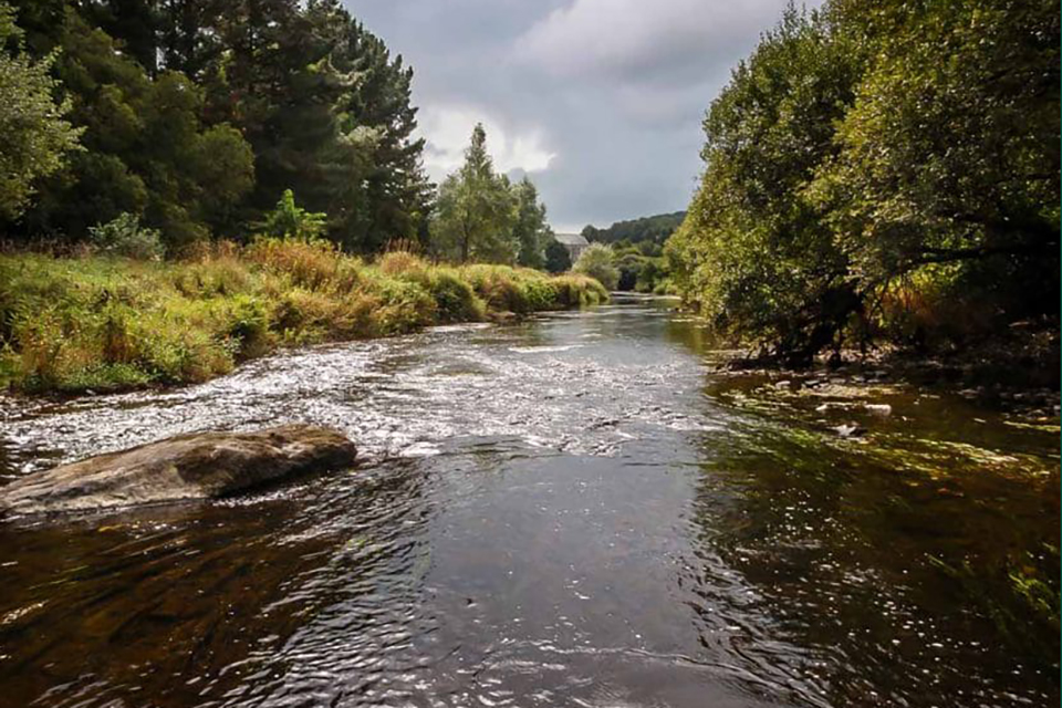 The River Aulne in the autumn© Brittany Flyfishing