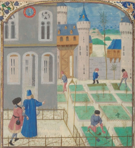 Pierre de Crescens, Livre des prouffitz champestres et ruraulx c. 1470-1475 BnF: Bibliothèque de l'Arsenal, Ms-5064 réserve
