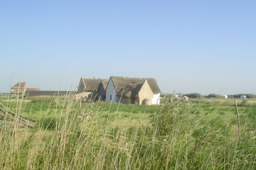 Walravjersijde. Source: Wikipedia/Zeph